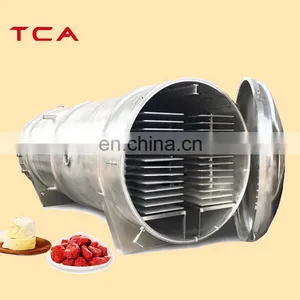 Fruit Vegetable Vacuum Lyophilizer Equipment Freeze Dryer Lyophilizer thumbnail-1