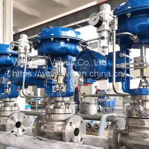 Globe Type Control Valves thumbnail-1