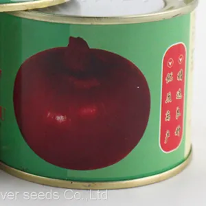 100g Bulk Sale Good Price Hybrid f1 Common Bulb Onion Red Onion Seeds for Sale thumbnail-1