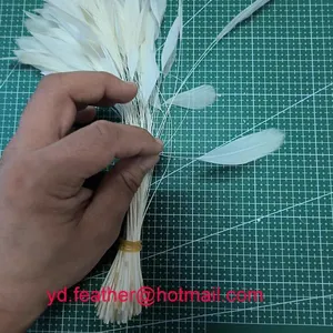 Stripped White Rooster Tail Feather For Wholesale From China thumbnail-2