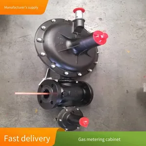 Stainless Steel Cng Decompression Station, Gas Pressure Regulating and Metering Device, Natural Gas Metering and Pressure Regulating Cabinet thumbnail-3