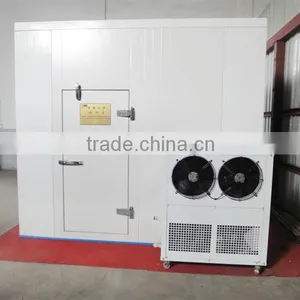 Small Cold Room for Family Keep Pineapple Fresh thumbnail-6