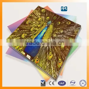 Provide High Quality Outdoor Aluminum Composite Panels in China thumbnail-1