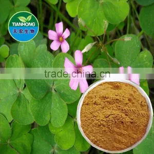 Natural Alfalfa Extract of High Quality Flavone thumbnail-1