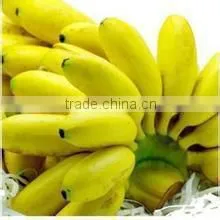 Automatic Potato Chips Machine Processing Machine Lines thumbnail-1