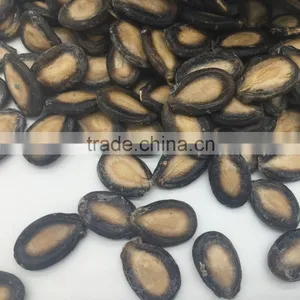 Melon Seeds for Sale thumbnail-2