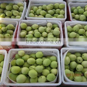 FRESH PEAR / BROTHER KINGDOM BRAND PEAR thumbnail-1
