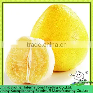 Golden Honey Pomelo thumbnail-1
