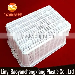 595x430x305mm Plastic Produce Basket for Turnover Transportation thumbnail-5
