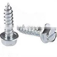 Stainless Steel Tapping Screw thumbnail-1