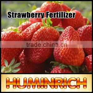 Huminrich Leonardite Source Rich In Organic Matter Humic Acid Powder Soluble thumbnail-1