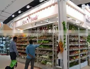 Flora Bunda Artificial Fake Lettuce Vegetable thumbnail-6