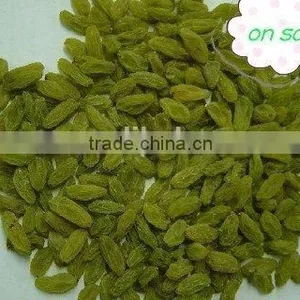 Bulk Raisins no Sugar Added thumbnail-3