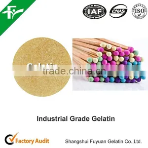 Industrial Grade Cow Skin Gelatin With Competitive Price thumbnail-6