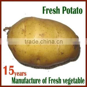 Fresh Potato (chinese) New Crop thumbnail-1