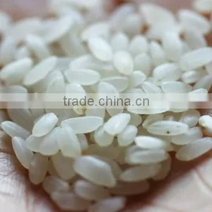 JAPONICA ROUND RICE HIGH QUALITY - 2016 NEW CROP thumbnail-1