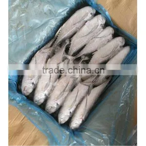 Good Quality Jaru-jaru Wholesale thumbnail-1