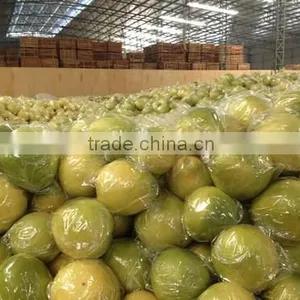 Late Honey Pomelo thumbnail-4