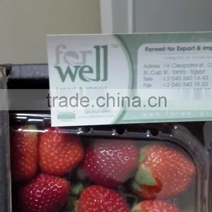 Strawberry thumbnail-2