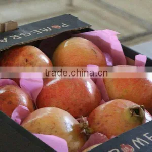 Pomegranates thumbnail-2