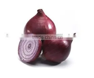 Bulk Red Onion From Egypt thumbnail-1