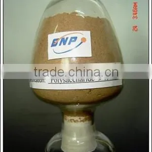 BNP Supply High Quality / Organic Reishi Mushroom P.E for Health Benefit Polysaccharide &Triterpene thumbnail-1