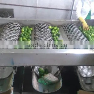 Vietnam Fresh Lime thumbnail-2