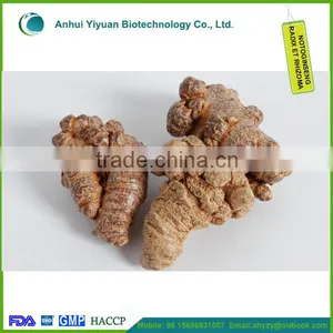 Radix Notoginseng High Worth for Health Notoginseng Radix ET Rhizoma thumbnail-2