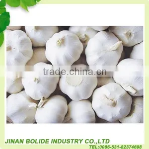 Favorites Compare Cheap Factory Prices!! Garlic Specification thumbnail-1
