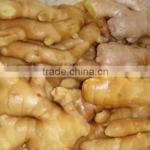 Ginger Root Price thumbnail-6