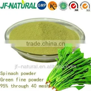 Natural Spinach Powder Vegetable Powder ISO, GMP, HACCP, KOSHER, HALAL Certificated. thumbnail-2