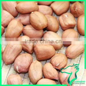 Red Skin Peanut Seeds For Sale thumbnail-1