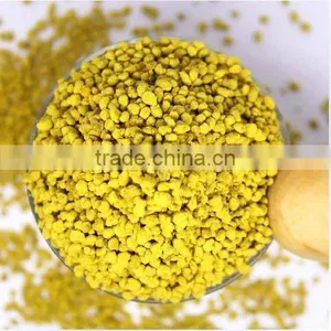 2014 June Fresh Yellow Rape Bee Pollen Grain thumbnail-1