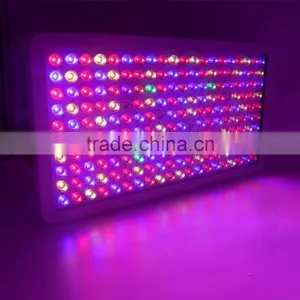 300W 600W 1000W Full Spectrum LED Grow Light for Veg and Flowering thumbnail-5