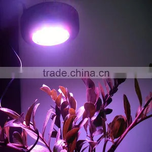 2016 Upgraded 300w UFO Unique Designed 30w COB Chip LED Grow Light Full Specturm for Greenhouse & Indoor Plant Flowering Growing thumbnail-5