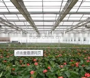 Greenhouse Sheet thumbnail-4