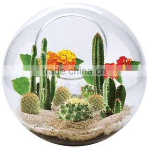 Acrylic Round Terrarium Accessories thumbnail-3