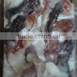 Frozen Giant Squid Neck thumbnail-2
