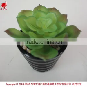 Wholesale Artificial Plants Mini Succulents for Indoor Decoration thumbnail-3