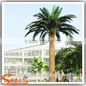 Plastic Date Palm Trees Prices Wedding Decorations Fake Large Plastic Tree and Plants Wholesale thumbnail-3