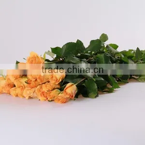 Wedding Flowers Fresh Cut Roses From Yunnan Gift For Valentine's Day Or Wedding Occasion thumbnail-2