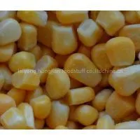 Frozen Sweet Corn thumbnail-1