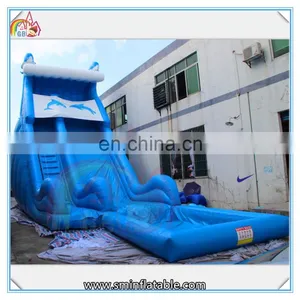 Factory Price Giant Inflatable Slide,inflatable Dolphins Water Slide,inflatable Slide With Pool for Sale thumbnail-3