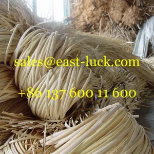 Rattan Peel (shave Edge) / Rattan Skin thumbnail-4