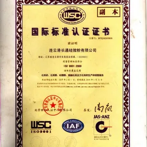 Lianyungang Changtong Silica Powder Co.ltd company overview - view 3 thumbnail