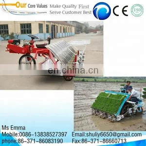 Hot Sale Rice Paddy Planter/manual Rice Seeder Planting Machine With Factory Price 0086-13838527397 thumbnail-5
