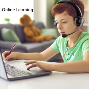 Hion H730D Dual Sides Dual Microphones USB Noise Cancelling Headphone thumbnail-5