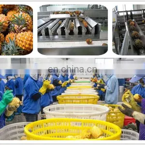CHINA Factory Vegetable Processing Line Vegetable Production Line Fruit and Vegetable Deep Processing Production Line thumbnail-3