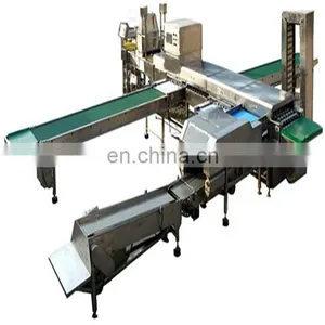 Commercial Egg Cleaning and Sorting Machine thumbnail-1