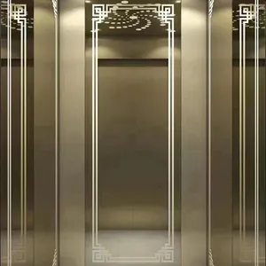 Villa Elevator thumbnail-3